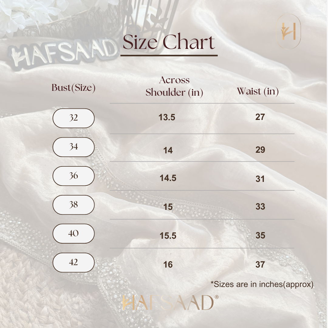 Falak - Chiffon Silk Saree